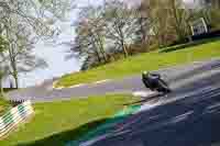 Middle Group Black Bikes